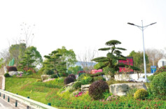 长沙黄花机场出入口，5000平方米景观焕新迎宾