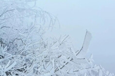 邵阳发布｜最低气温-3～-1℃！邵阳要下雪了？