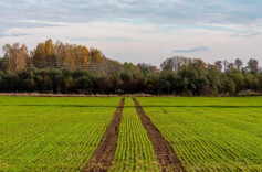 三湘时评｜一体推进改革 土地存量焕新