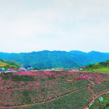 钢筋、钛骨与玫瑰：一个娄底人眼中的转型之路