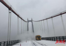 国储娄底中心：党建引领聚合力 硬核支撑保畅通