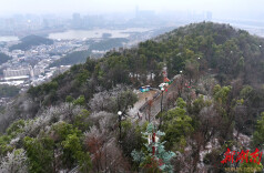 湖南4家景区入选全国5A级景区百强榜