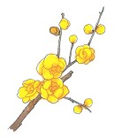 节气自然笔记 | 大寒