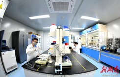 常德：崛起全国合成生物制造“中部标杆”