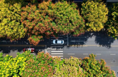 我的2025 | 蔡文龙：持镜奔跑