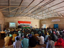 湖南农业专家在乍得推广水稻高产种植技术 当地水稻产量倍增