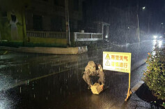 闻雪即动！泸溪公安启动应急预案，全警上路守护冰雪道路安全