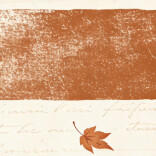 岁月随笔①丨冬夜絮语