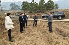 进出口银行湖南省分行驻村工作队积极对接产业项目赋能乡村振兴