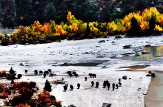 西藏——难忘的记忆