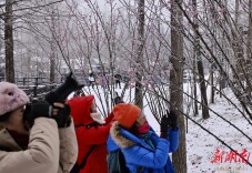 图集|大寒飘雪迎客来