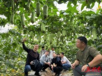 沙场“点兵”！长沙市农科院开展南繁基地中期检查