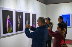 四展同绽资兴 共入影像时空