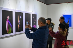 四展同绽资兴 共入影像时空