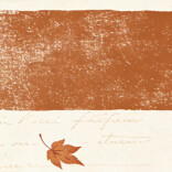 岁月随笔②丨老友记