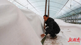 西湖管理区：迎寒而上 抢抓农时备春耕