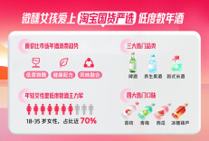 微醺女孩今冬流行煮啤酒，淘宝国货严选七成低度数酒消费者是年轻女性