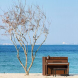 学生习作丨滩边落日（外二首）