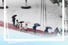 冬日映像·雪韵校园丨怀化市第三中学：红墙映雪少年行 银装枝丫写冬韵