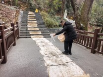 岳麓山-橘子洲旅游区启动防寒防冻应急响应