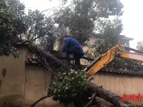 长沙牛角塘村：多方联动破冰除险 同步巡查护航安全