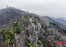 岳麓山迎初雪