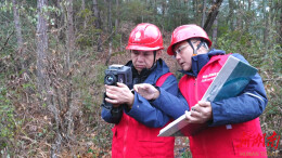 鹤城区电力部门全面强化低温雨雪冰冻天气隐患排查