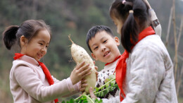 读报｜1月21日的《科教新报》速览