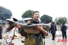 恰鱼粉、打鱼丸、竞鱼王 1月25日珠晖区东阳渡干塘节喊你来捉鱼！