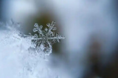 曹忠平：以“科技+铁脚板”织密寒冬救助网，全力守护流浪乞讨人员