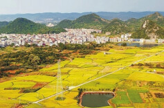 粮站的月光|湘江副刊·湘韵