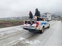以雪为令！绥宁县武阳镇全力以赴，防滑防冻保安全！