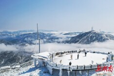 雪落在你来的方向