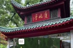 多地“画马”徒步路线被叫停，岳麓山景区提醒：存在危险！