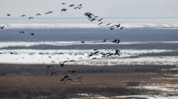 投稿作品选登 | 冬雪为凭·湘约而行：镜头下的湖南“冰雪奇缘”