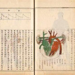 这些海外珍本，以一种特殊的形式回归祖国！