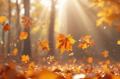 阳光回归！今起三天湖南晴天间多云天气为主 气温回升