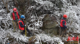 国网资兴市供电公司：踏雪迎风 电暖万家