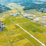 农业农村部：去年支持新建和改造提升高标准农田7568万亩