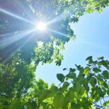 散文丨爱上公交，遇见温暖