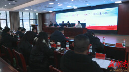 鹤城区启动2026年寒假高校学子返家乡社会实践工作