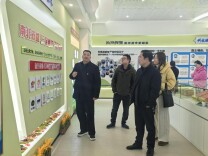 南县职业中等专业学校：校际交流搭平台 优势互补共发展