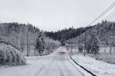 桂东：“冰”来将挡 险除路畅