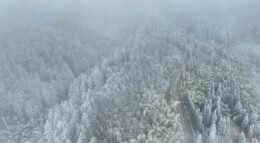 桂东：踏雪巡线践初心 除冰保电暖民心