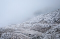 城步：南山迎来雾凇盛景，琼枝玉树如诗如画