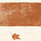 岁月随笔⑤丨理工大的夜色与回声