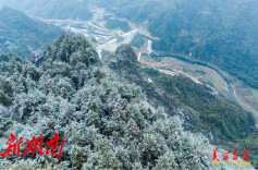 战低温 保进度——大兴寨水库溢流坝段浇筑忙