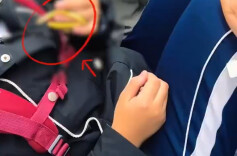 芙蓉国评论 | 深圳地铁“玩蛇”事件：规则意识不容“玩”弄