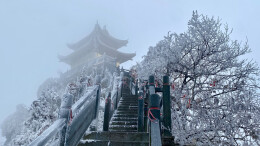 南方也有冰雪仙境！靖州飞山雾凇美如画