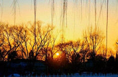 每一张都是灵动画卷！北京今日夕阳如诗